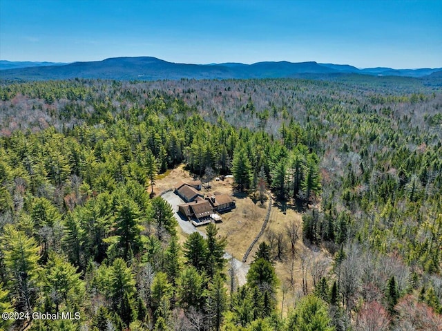 drone / aerial view featuring a mountain view