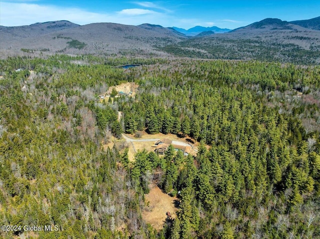 property view of mountains