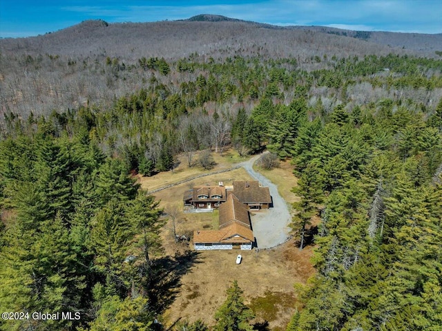 drone / aerial view with a mountain view