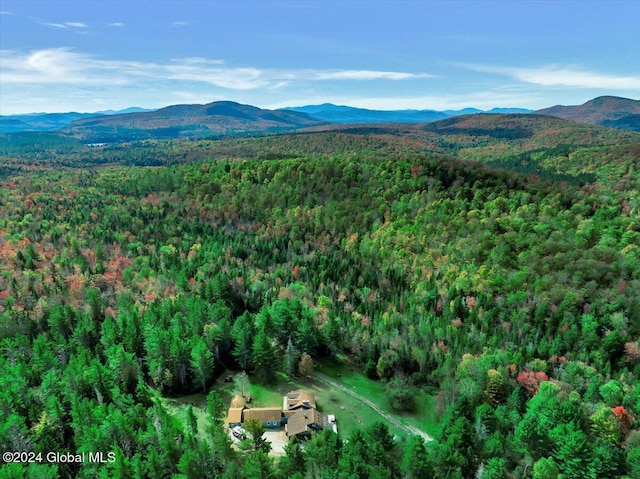 bird's eye view with a mountain view