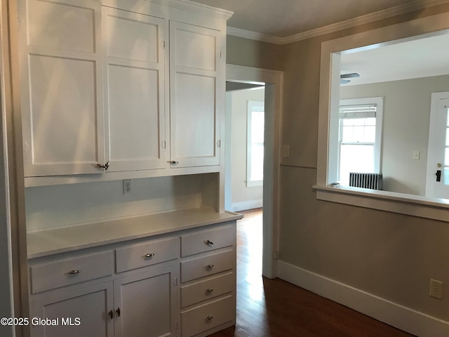 kitchen with crown molding, dark wood-type flooring, and white cabinets