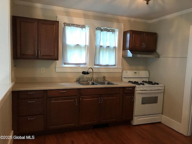 kitchen featuring sink, dark wood-type flooring, dark brown cabinetry, ornamental molding, and white range with gas cooktop