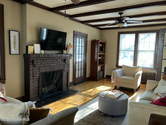 living room with radiator, ceiling fan, a brick fireplace, beam ceiling, and light hardwood / wood-style flooring