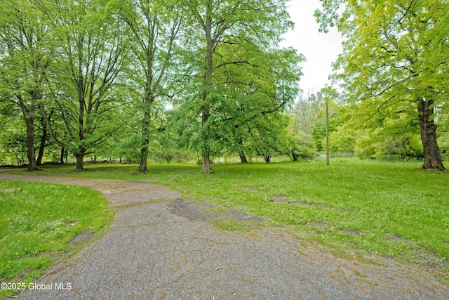1643 Rte 146, Clifton Park, NY 12148 - view of surrounding community