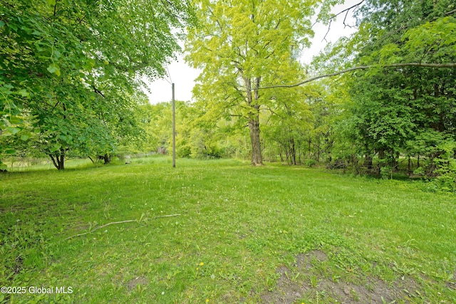 1643 Rte 146, Clifton Park, NY 12148 - view of yard