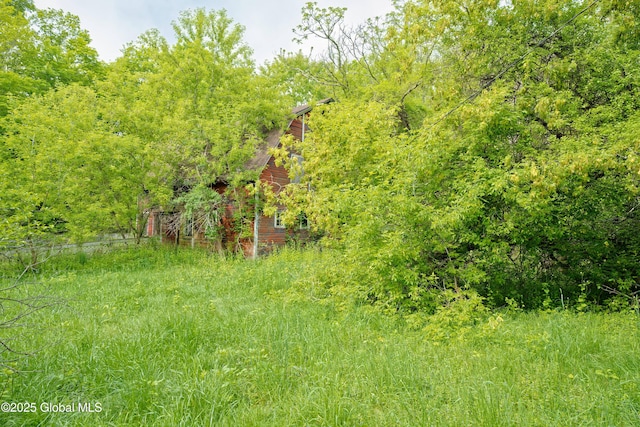 1643 Rte 146, Clifton Park, NY 12148 - view of wooded area