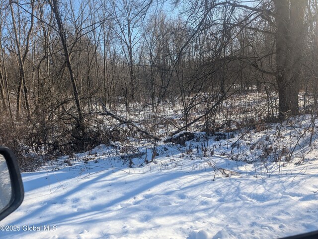 L9 Mountain View Way, Hoosick, NY 12090 - photo 4