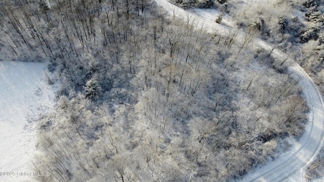 L9 Mountain View Way, Hoosick, NY 12090 - photo 6