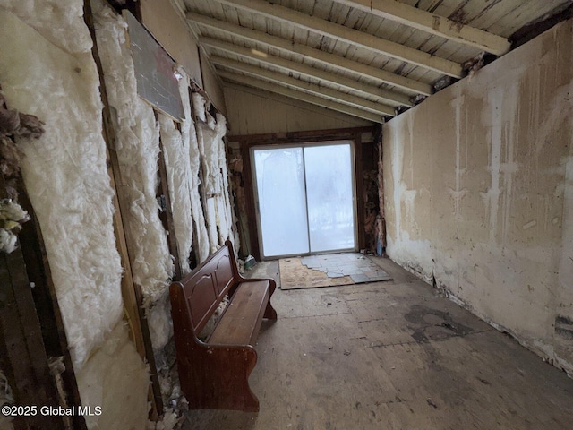 miscellaneous room with lofted ceiling