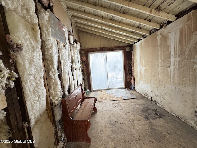 miscellaneous room with lofted ceiling