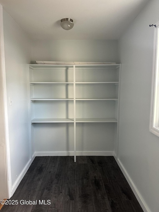 walk in closet with dark hardwood / wood-style flooring