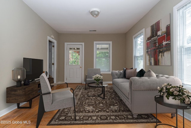 living room featuring light wood-type flooring and a wealth of natural light