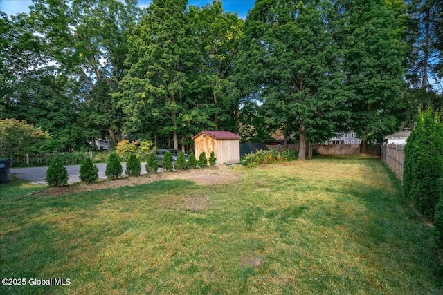 view of yard with a storage unit