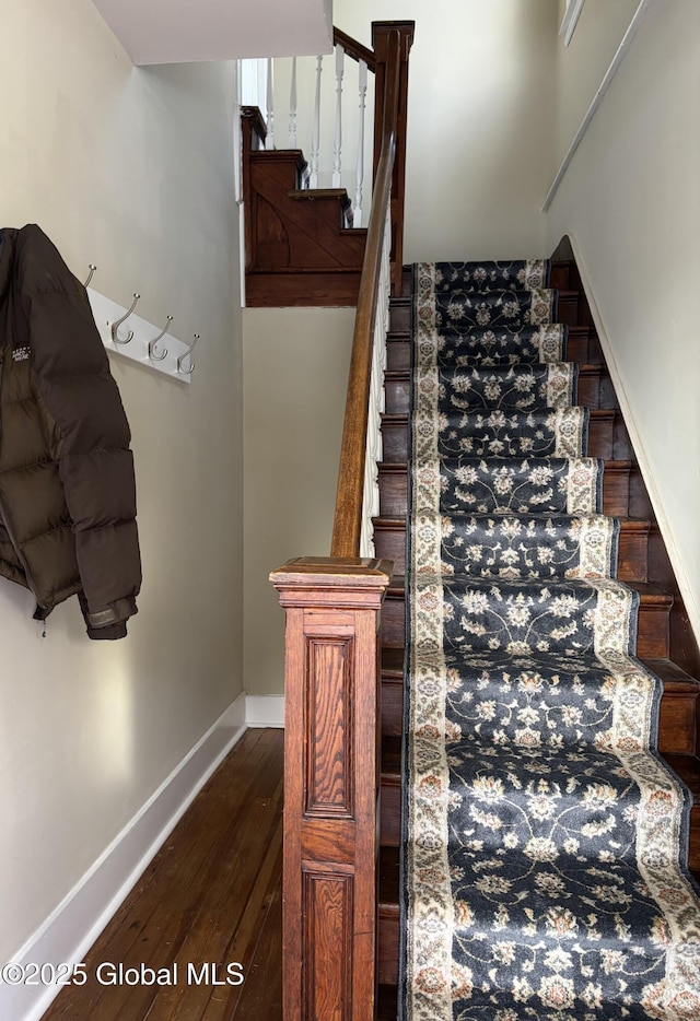 stairs with hardwood / wood-style flooring