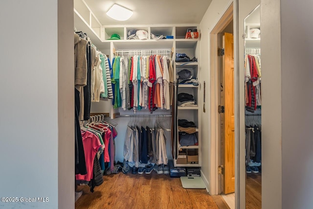 spacious closet featuring wood-type flooring