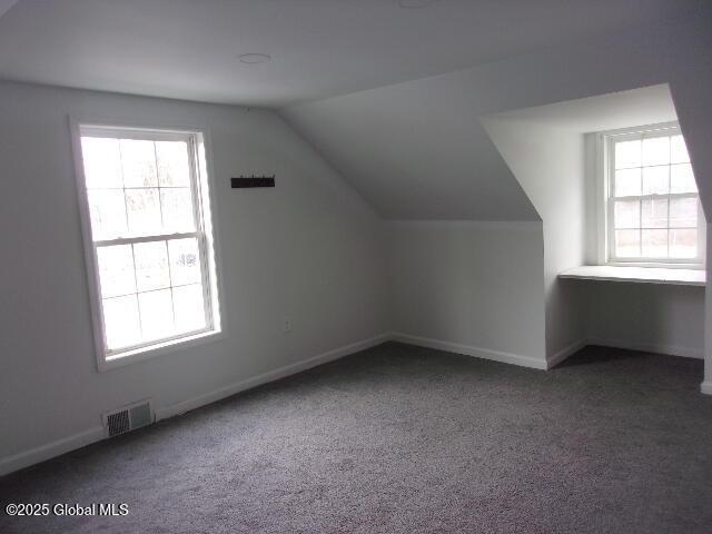bonus room with vaulted ceiling, carpet, and a wealth of natural light