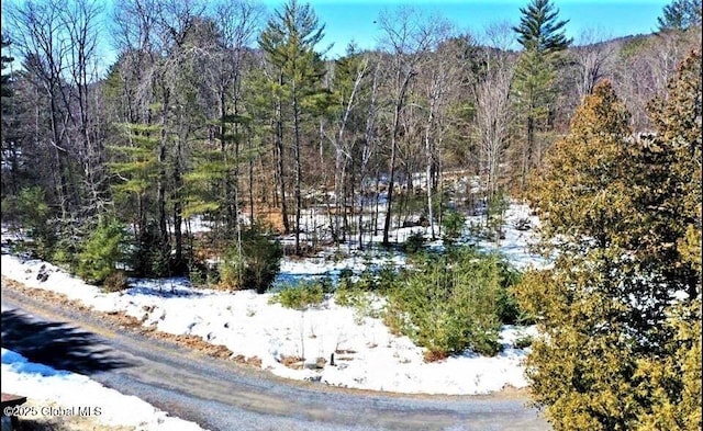 Listing photo 2 for 19 Pointe Dr, Schroon NY 12870