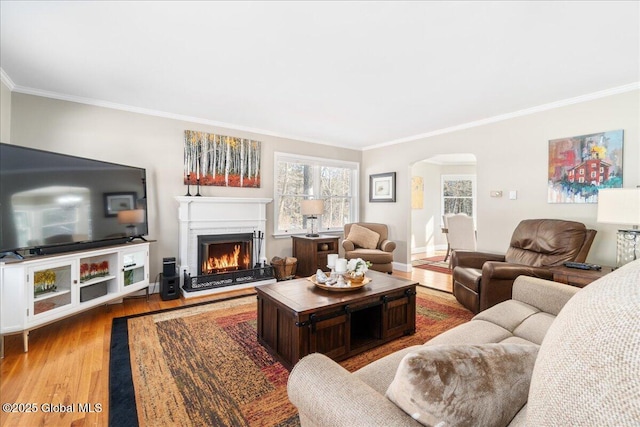 living room with wood-type flooring and ornamental molding