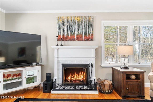 sitting room with crown molding and hardwood / wood-style flooring