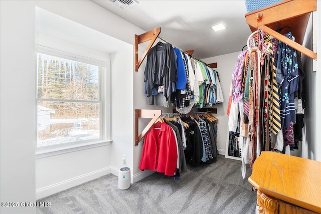 walk in closet with carpet floors