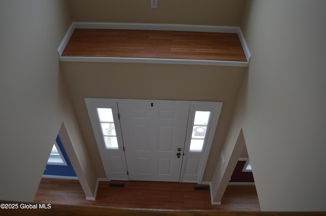 entrance foyer with wood-type flooring