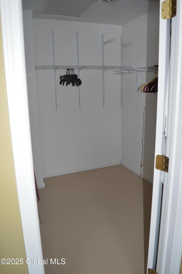 spacious closet with carpet floors