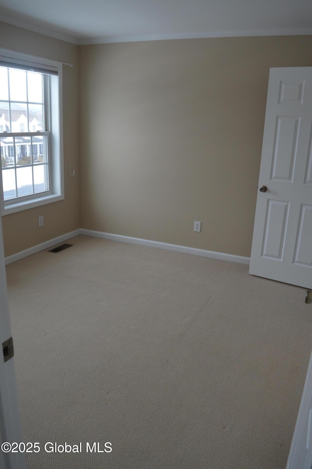 empty room with ornamental molding and carpet flooring