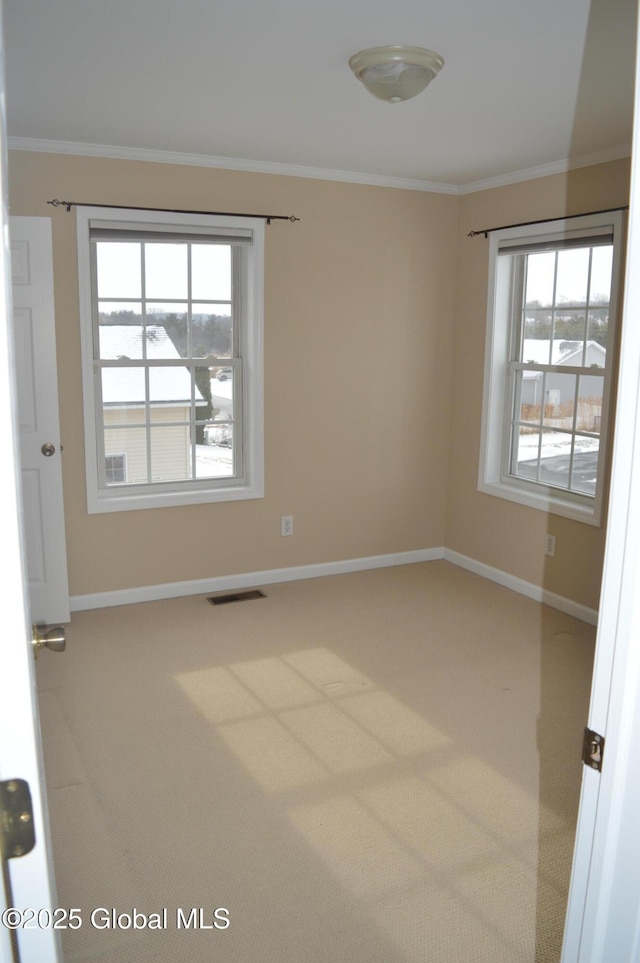 spare room with ornamental molding, a healthy amount of sunlight, and carpet flooring