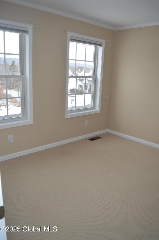 spare room featuring crown molding and carpet flooring