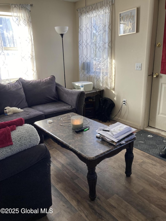 living area featuring wood finished floors