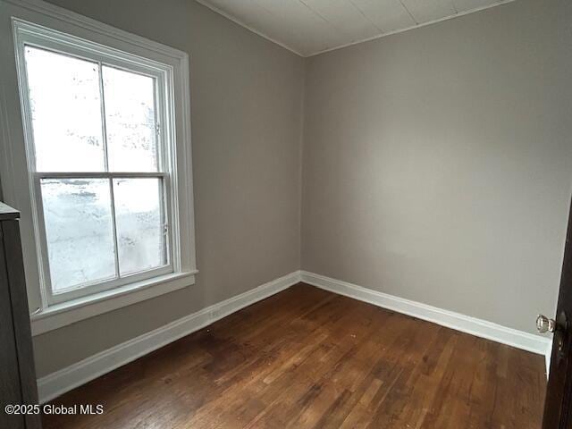 spare room with dark hardwood / wood-style floors and a wealth of natural light