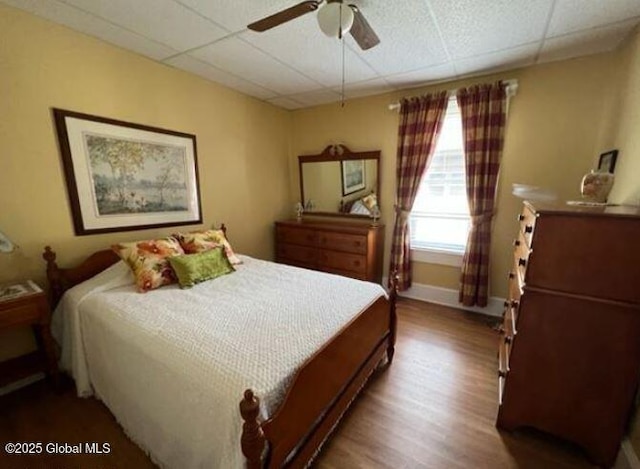 bedroom featuring hardwood / wood-style floors, a drop ceiling, and ceiling fan