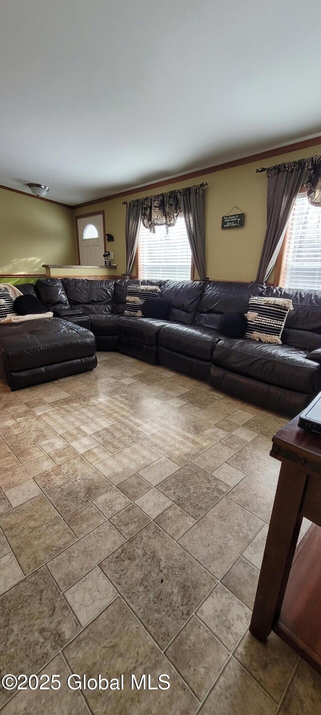 living room featuring a healthy amount of sunlight