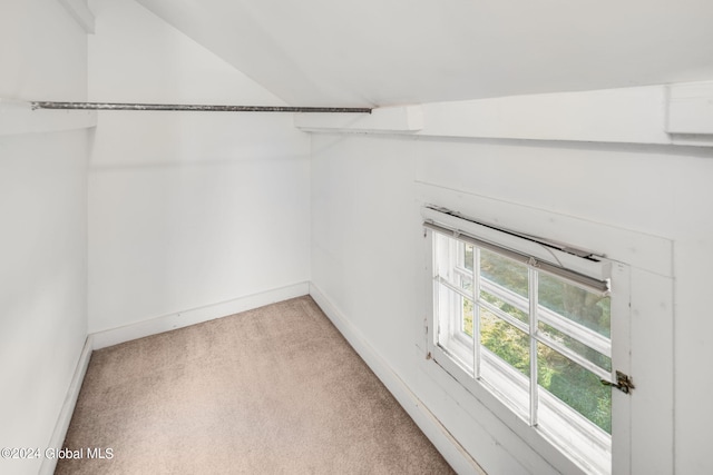 spacious closet with vaulted ceiling and carpet