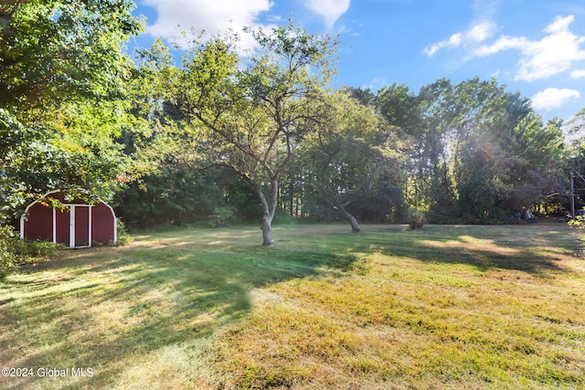 view of yard featuring a storage unit