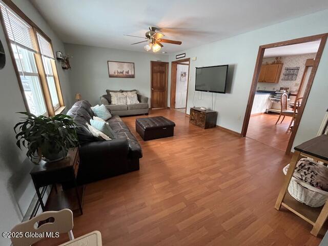 living room featuring ceiling fan and light wood-type flooring