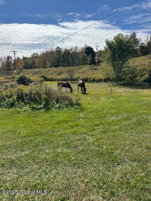 view of yard featuring a rural view