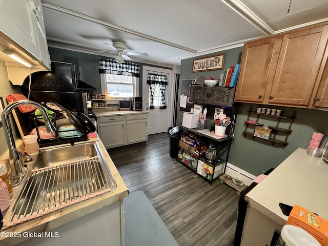 kitchen with dark wood-type flooring, sink, and ceiling fan