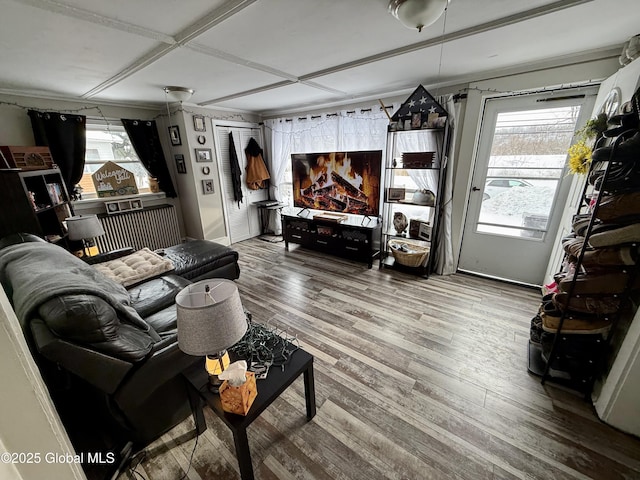 living room featuring a healthy amount of sunlight and hardwood / wood-style floors