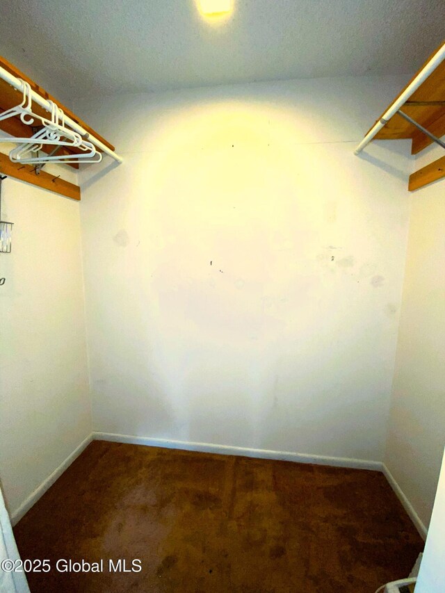 spacious closet featuring carpet floors