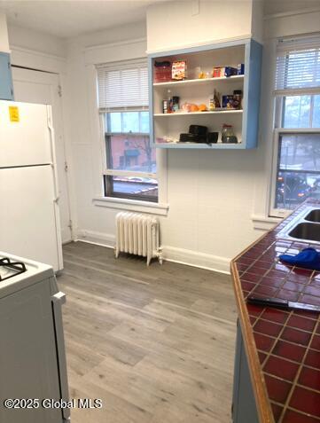 kitchen featuring white appliances, wood-type flooring, radiator, and sink