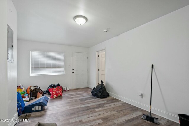 recreation room featuring light hardwood / wood-style floors