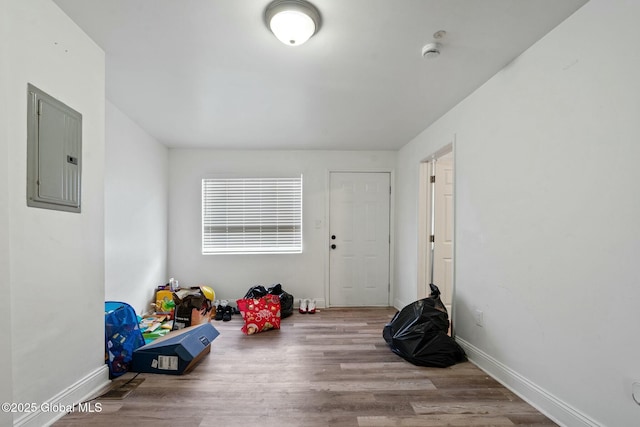 game room with electric panel and light wood-type flooring