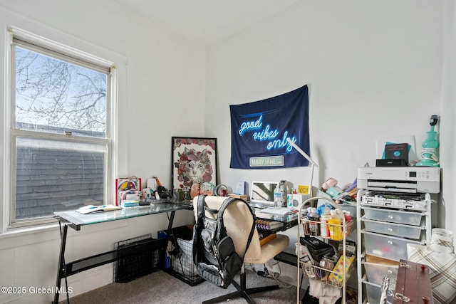 office area featuring carpet flooring