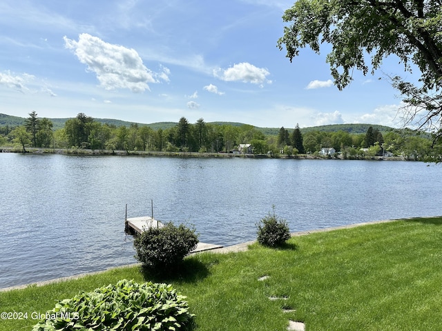 view of water feature featuring a boat dock