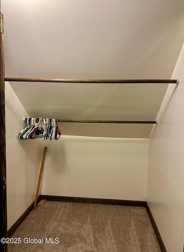 spacious closet featuring carpet flooring