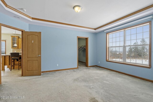 unfurnished bedroom featuring crown molding, a tray ceiling, a walk in closet, light colored carpet, and a closet