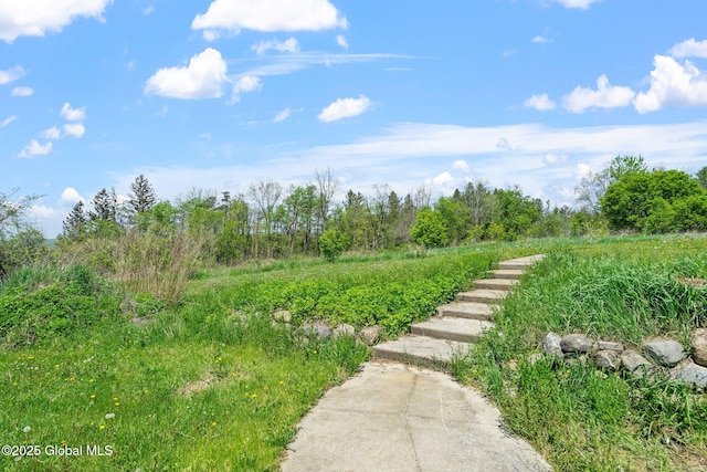 220 Anderson Cir, Fort Plain, NY 13339 - view of yard