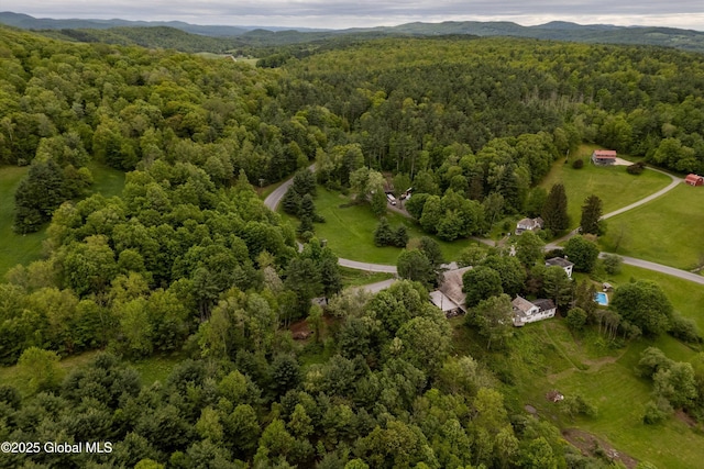 1673 County Route 64, Salem, NY 12865 - aerial view of mountains