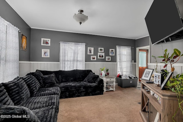 living room with crown molding and carpet flooring